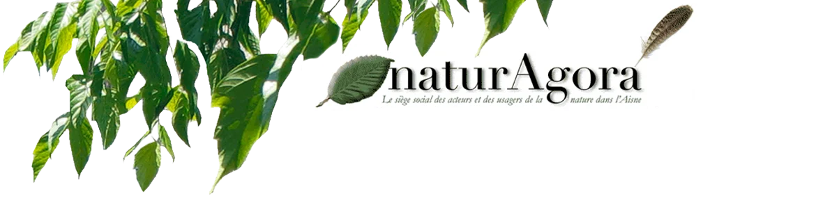 NaturAgora